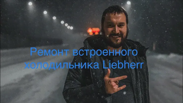 Ремонт встроенного холодильника Liebherr (замена петель от холодильника Gorenje)